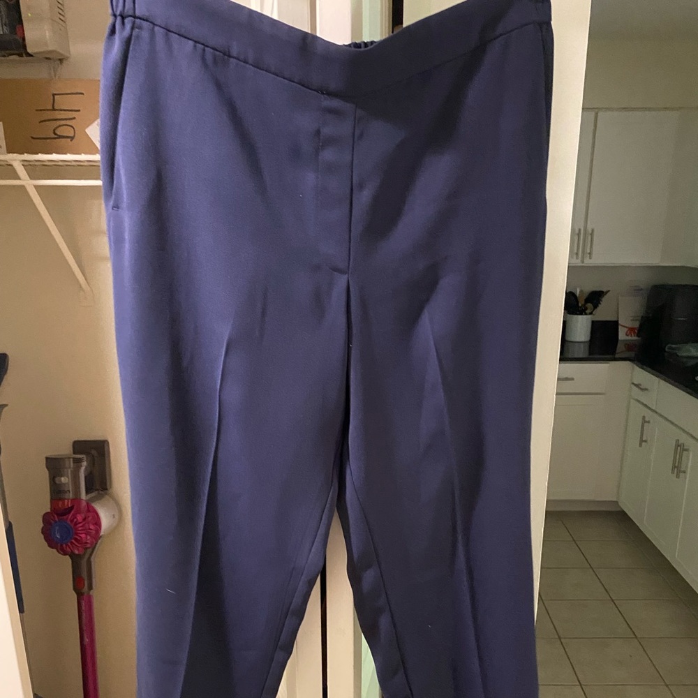 Jcrew Navy Work Pants